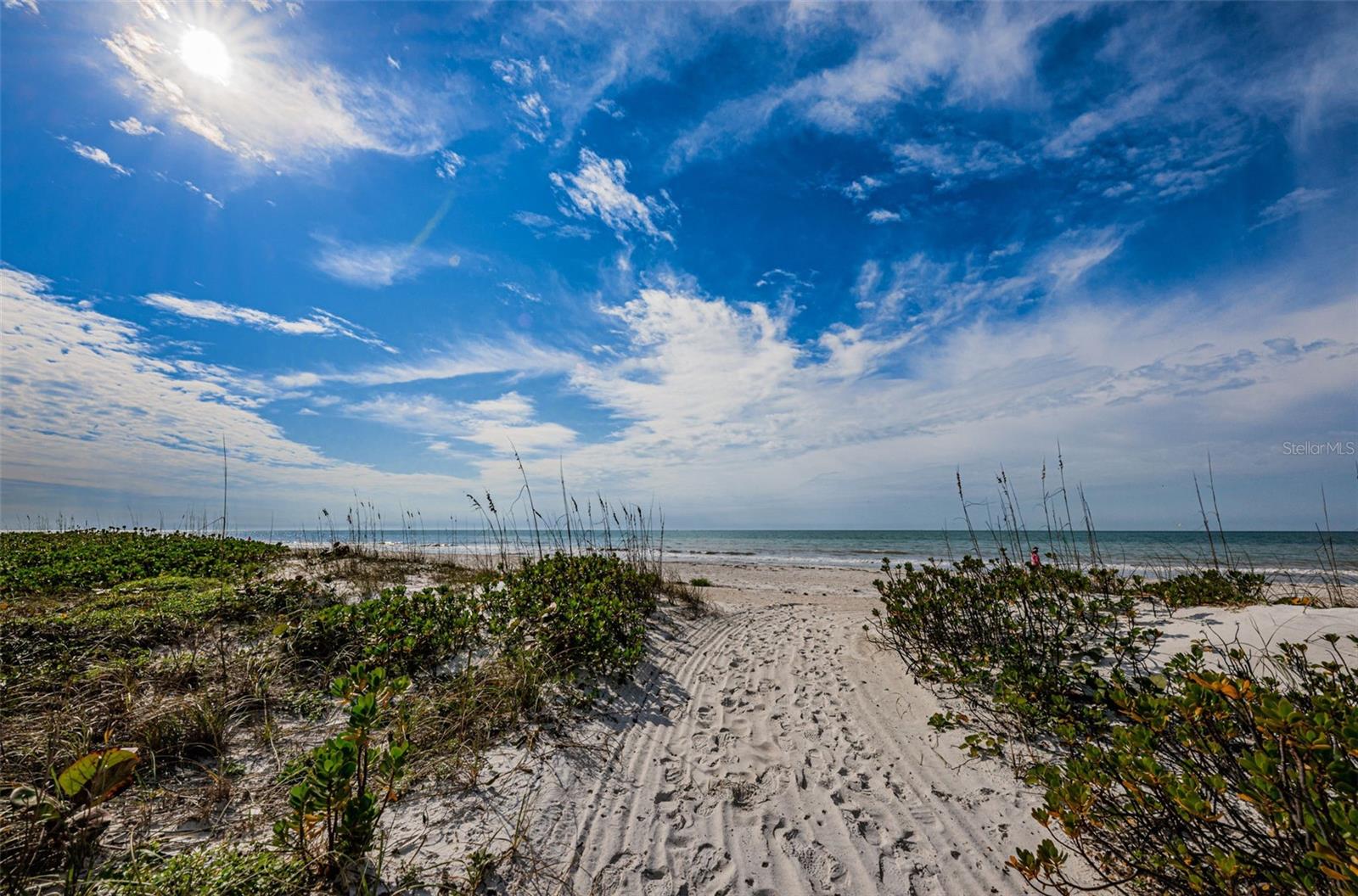 1230 GULF BLVD #805, CLEARWATER BEACH, FL, 33767