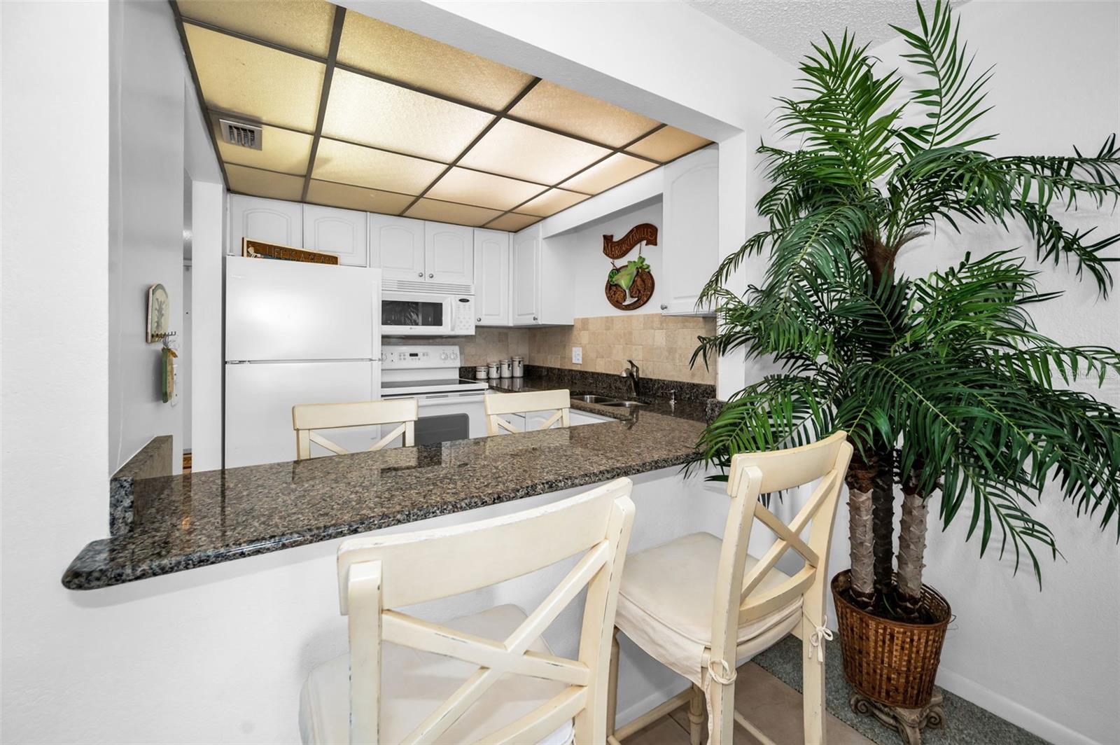1230 GULF BLVD #805, CLEARWATER BEACH, FL, 33767