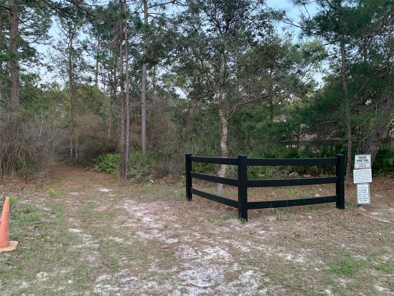 4318 W GORGE LN, BEVERLY HILLS, FL, 34465