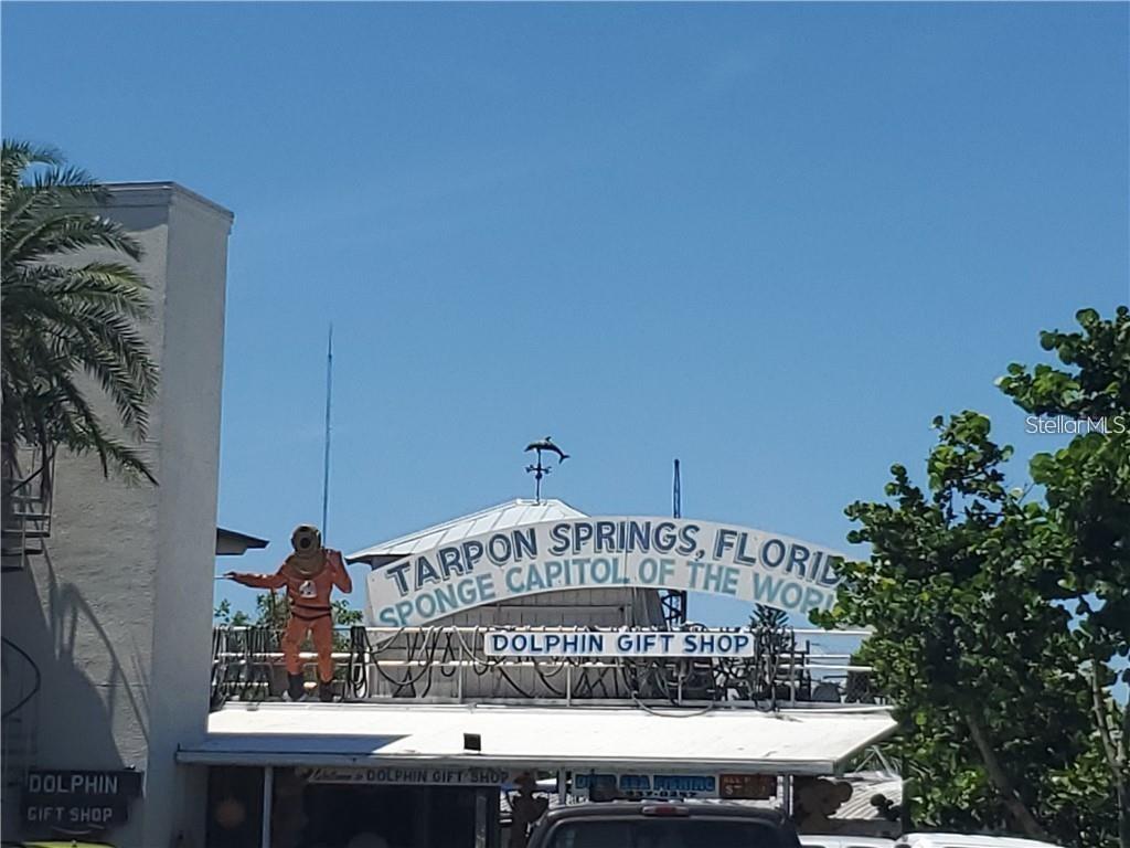 39820 US HIGHWAY 19 N #179, TARPON SPRINGS, FL, 34689