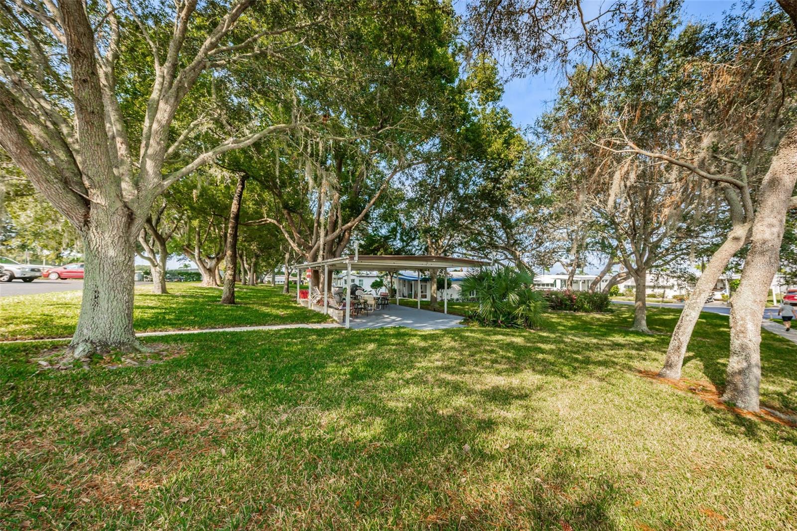 39820 US HIGHWAY 19 N #179, TARPON SPRINGS, FL, 34689