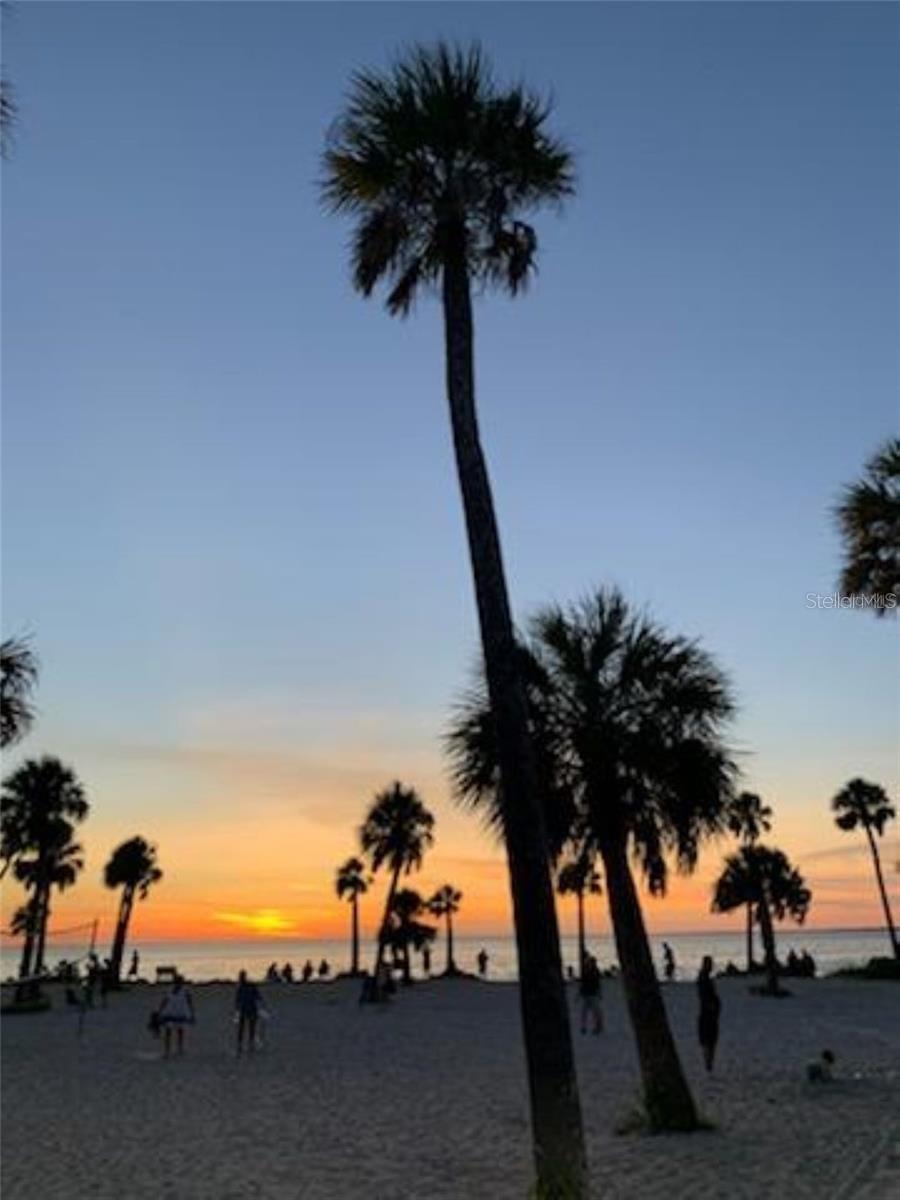 39820 US HIGHWAY 19 N #179, TARPON SPRINGS, FL, 34689