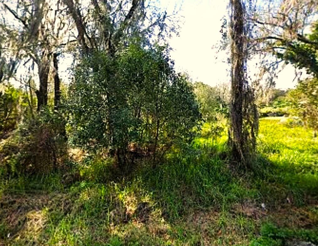 3883 BARNES RD, AUBURNDALE, FL, 33823