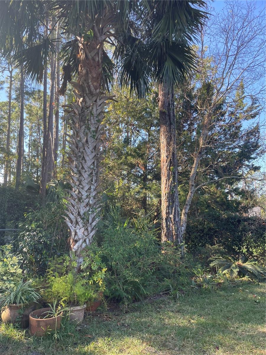 18 RAEMOND LN, PALM COAST, FL, 32164