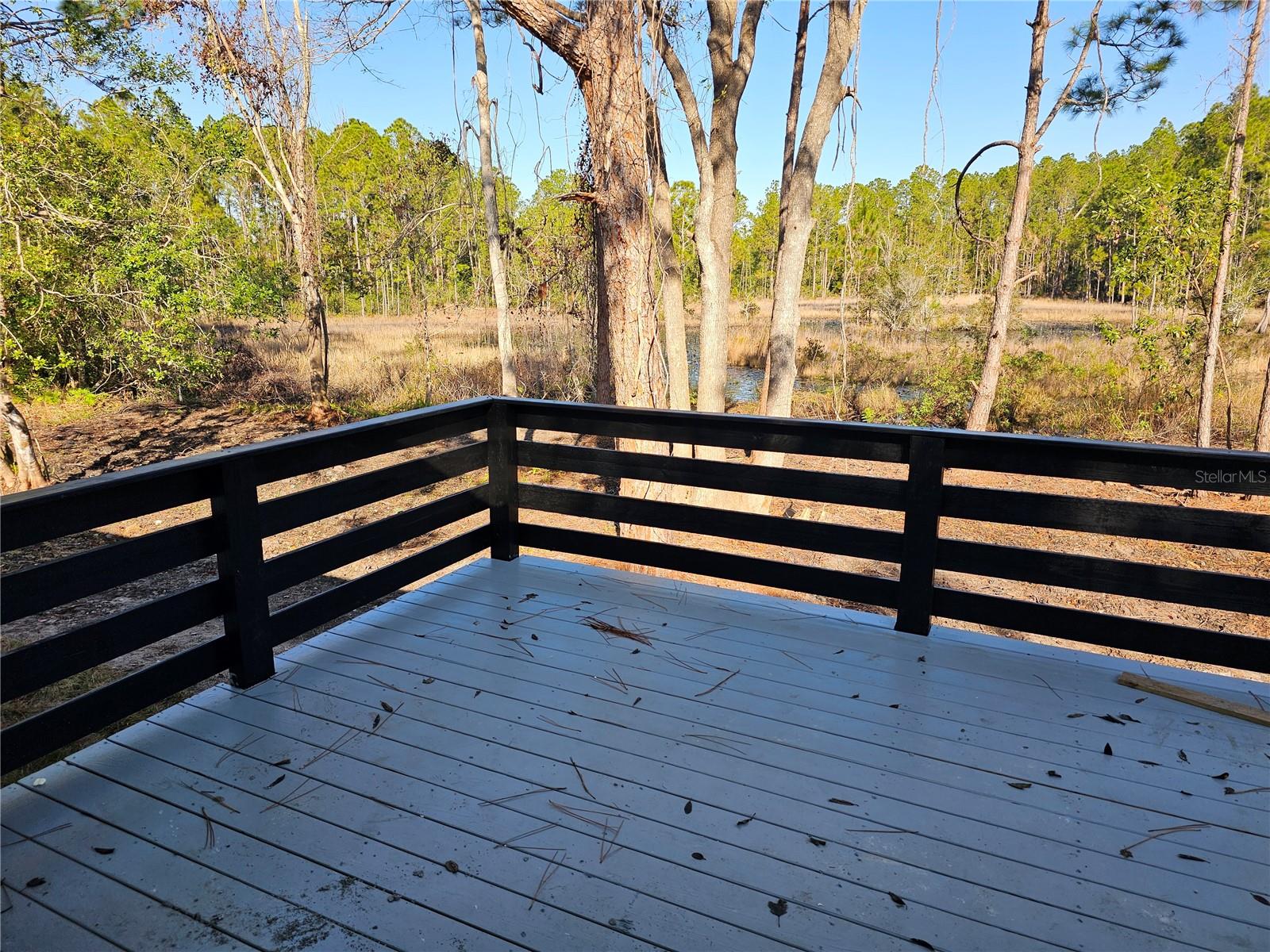 30033 W THYME AVE, EUSTIS, FL, 32736