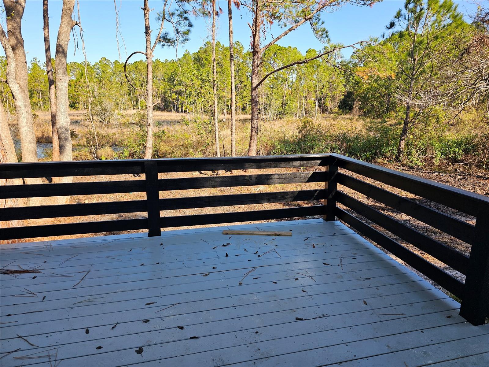 30033 W THYME AVE, EUSTIS, FL, 32736