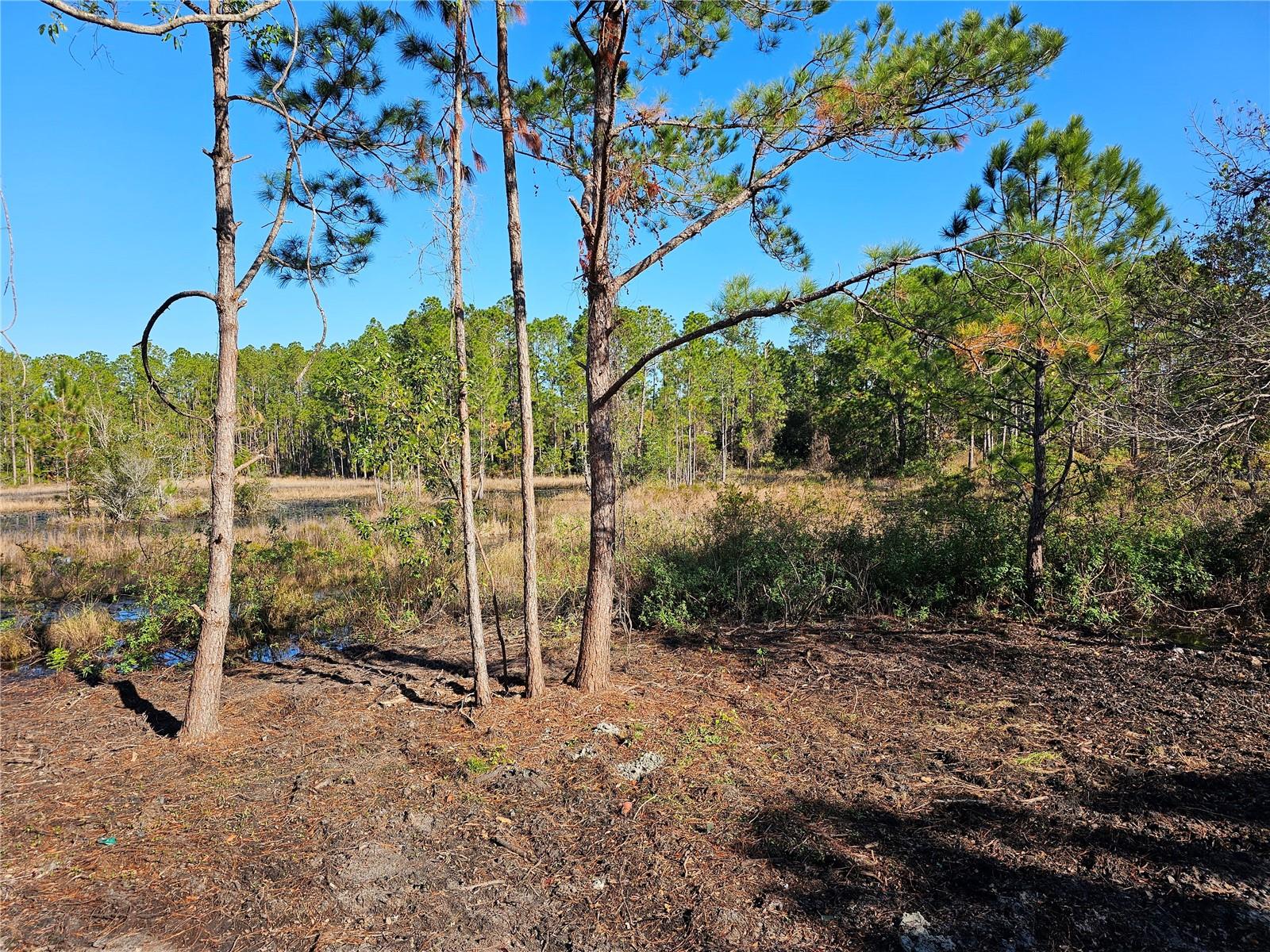 30033 W THYME AVE, EUSTIS, FL, 32736