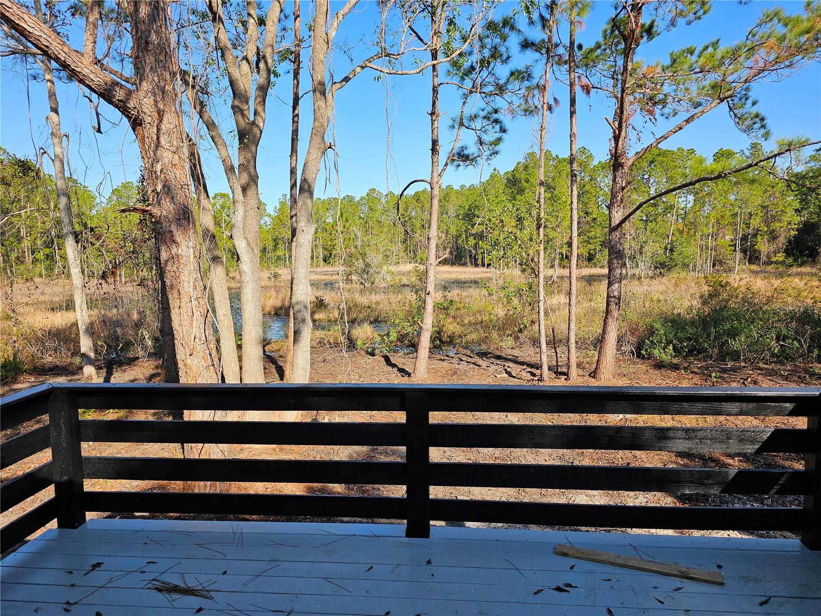 30033 W THYME AVE, EUSTIS, FL, 32736