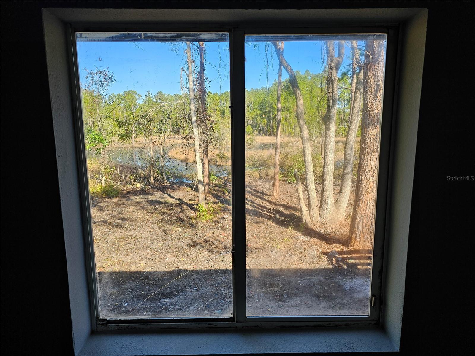 30033 W THYME AVE, EUSTIS, FL, 32736