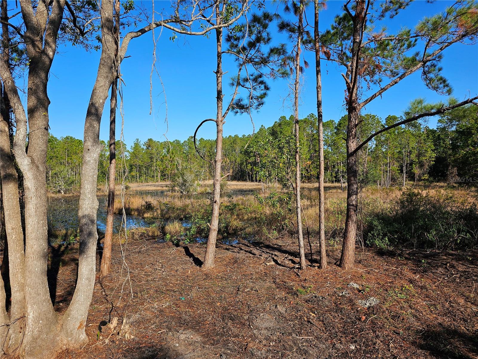 30033 W THYME AVE, EUSTIS, FL, 32736