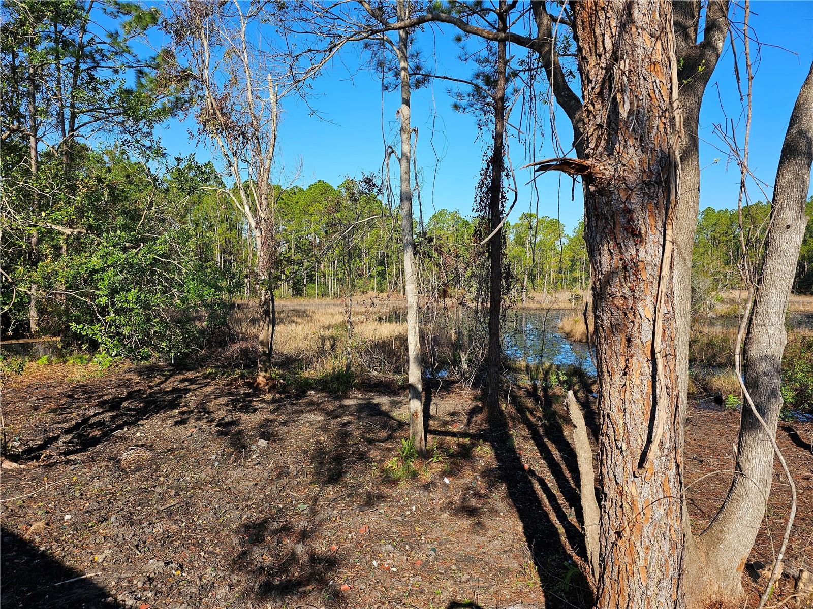 30033 W THYME AVE, EUSTIS, FL, 32736