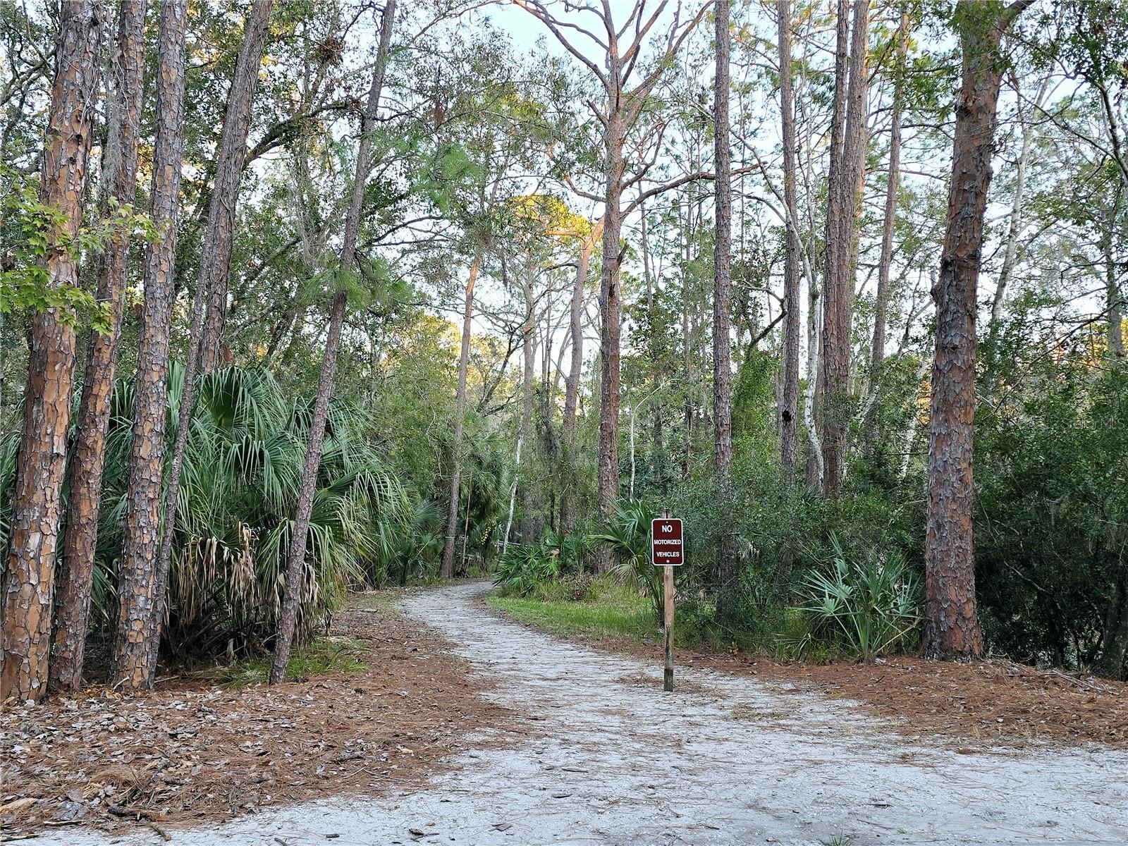 700 BOWSPRIT PL, PALM HARBOR, FL, 34685