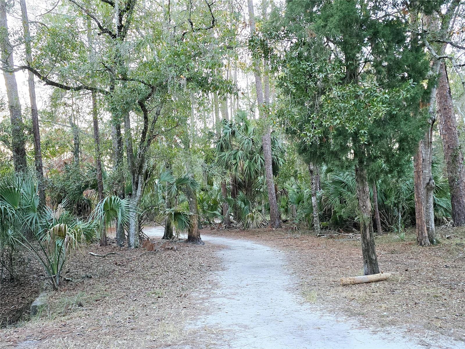 700 BOWSPRIT PL, PALM HARBOR, FL, 34685