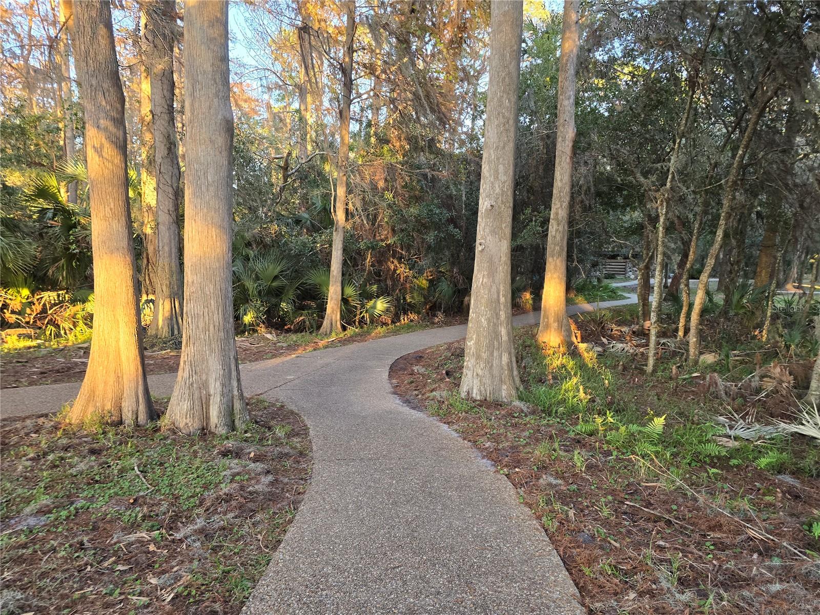 700 BOWSPRIT PL, PALM HARBOR, FL, 34685