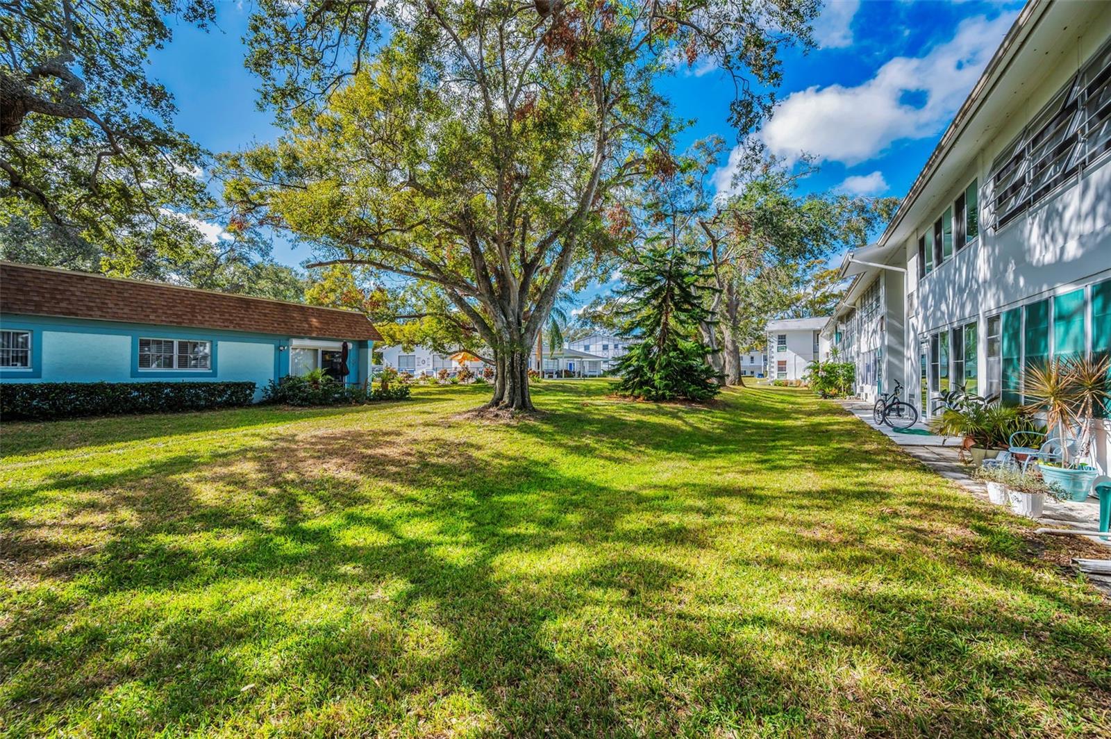 200 GLENNES LANE #206, DUNEDIN, FL, 34698