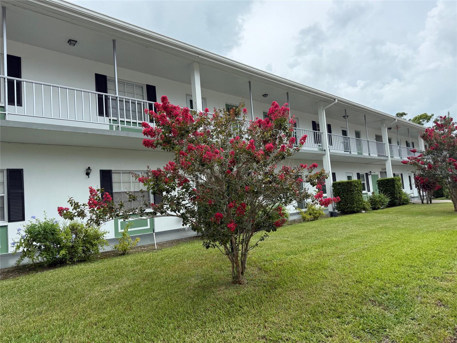 200 GLENNES LANE #206, DUNEDIN, FL, 34698
