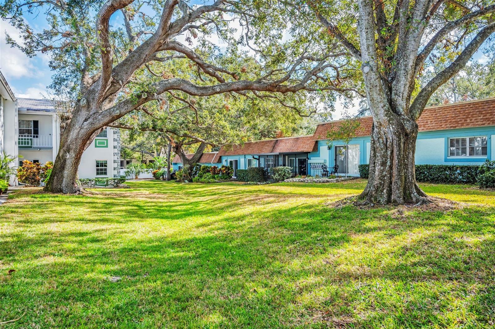 200 GLENNES LANE #206, DUNEDIN, FL, 34698