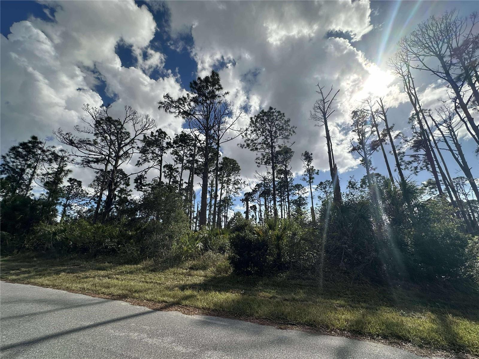 13345 HARTH AVE, PORT CHARLOTTE, FL, 33953
