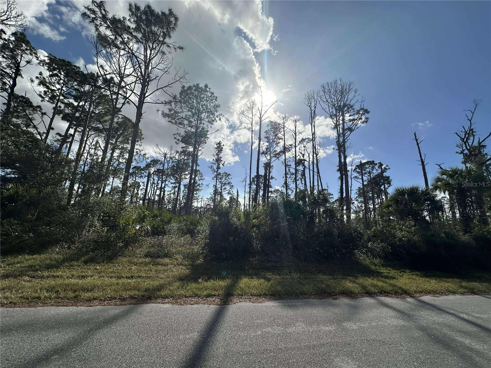 13345 HARTH AVE, PORT CHARLOTTE, FL, 33953
