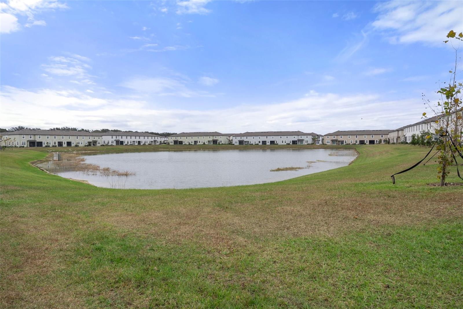 32046 POWDERPUFF MIMOSA DR, SAN ANTONIO, FL, 33576