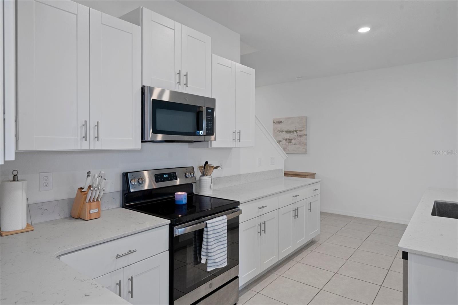 32046 POWDERPUFF MIMOSA DR, SAN ANTONIO, FL, 33576