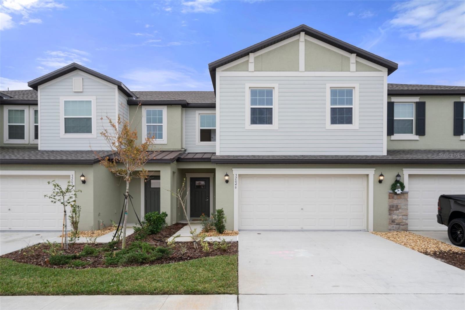 32046 POWDERPUFF MIMOSA DR, SAN ANTONIO, FL, 33576