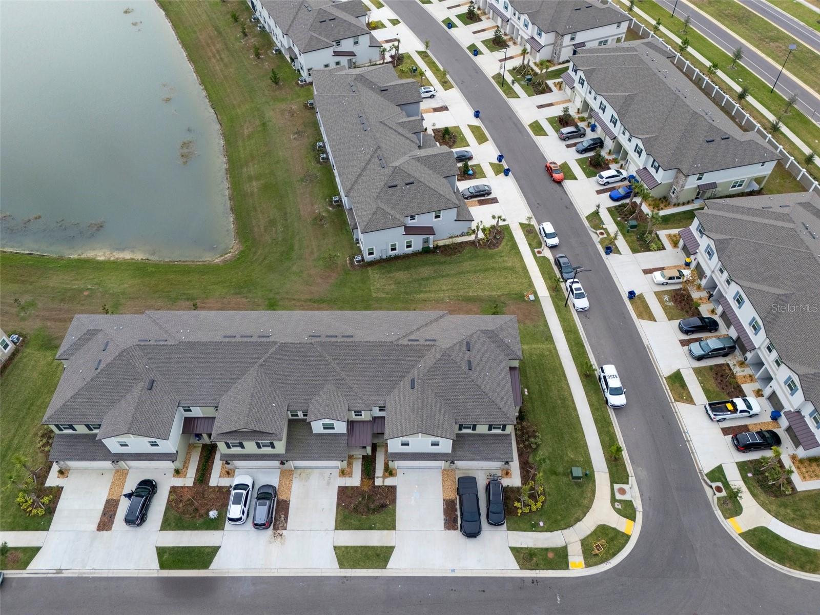 32046 POWDERPUFF MIMOSA DR, SAN ANTONIO, FL, 33576