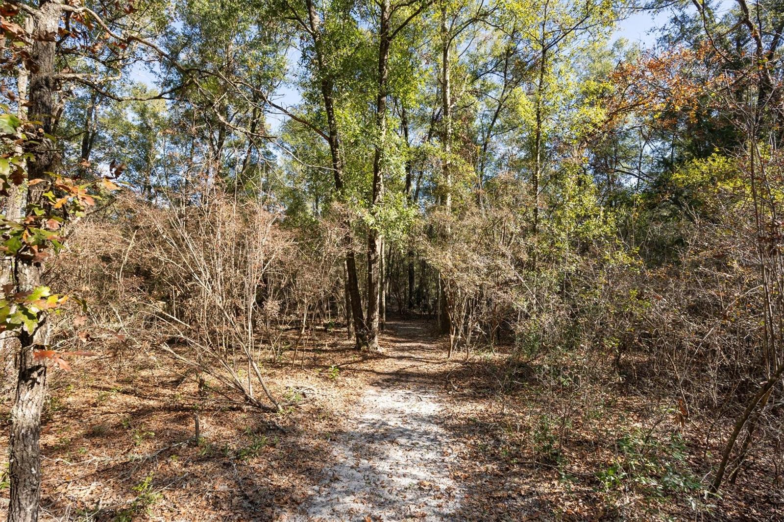3149 NE 78TH TER, HIGH SPRINGS, FL, 32643