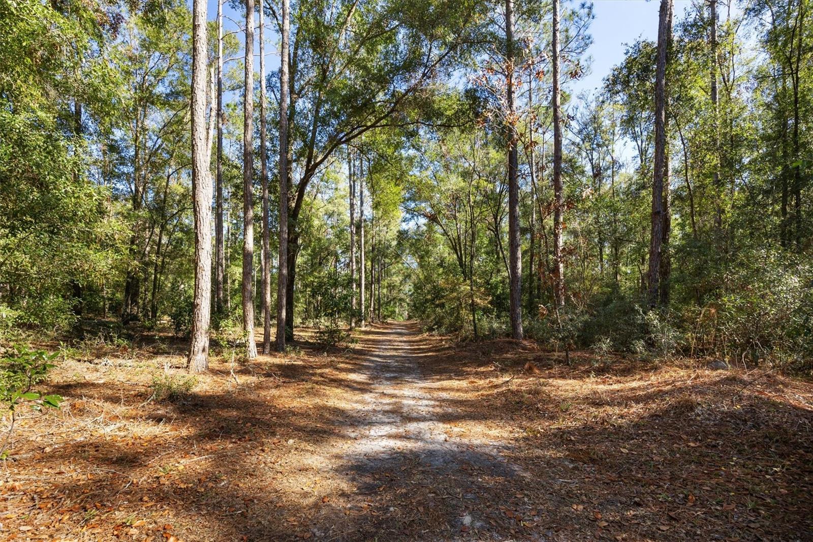 3149 NE 78TH TER, HIGH SPRINGS, FL, 32643