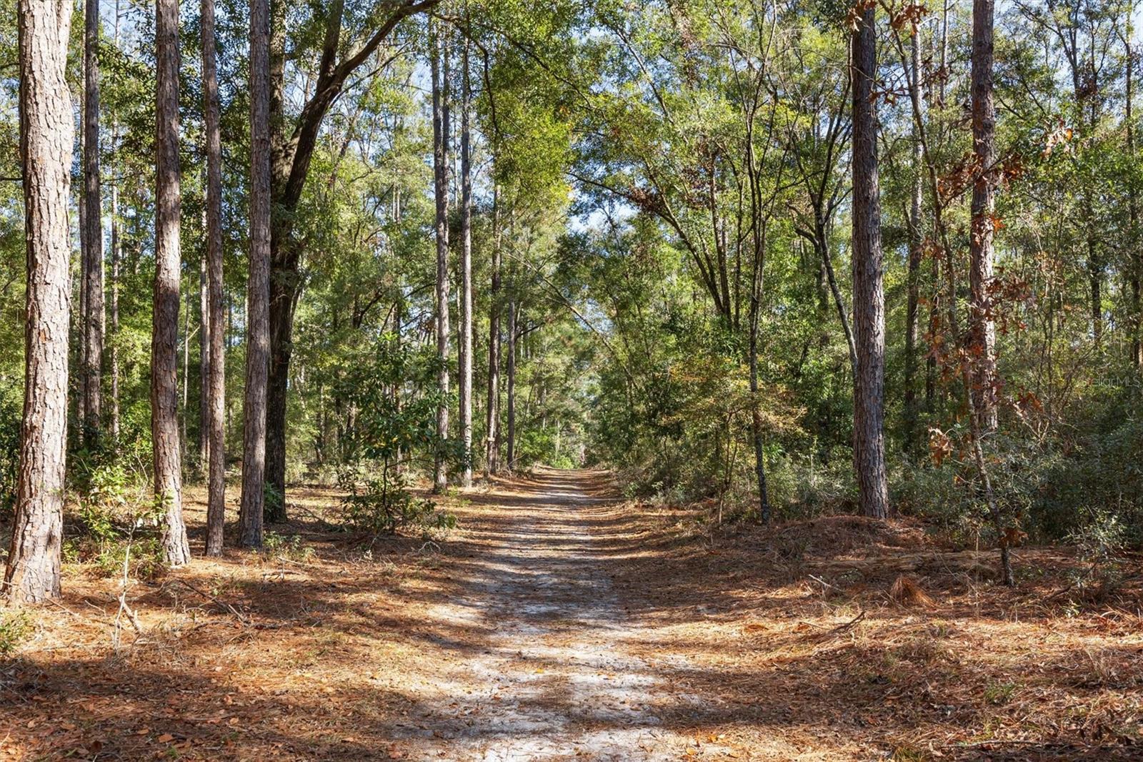 3149 NE 78TH TER, HIGH SPRINGS, FL, 32643