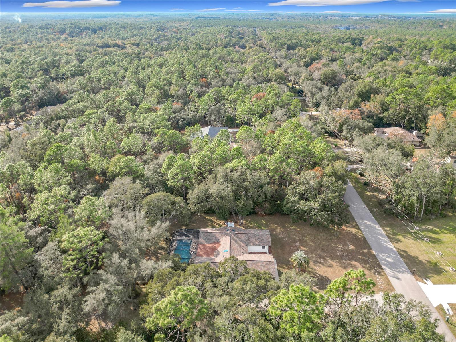 1276 W PEARSON ST, HERNANDO, FL, 34442