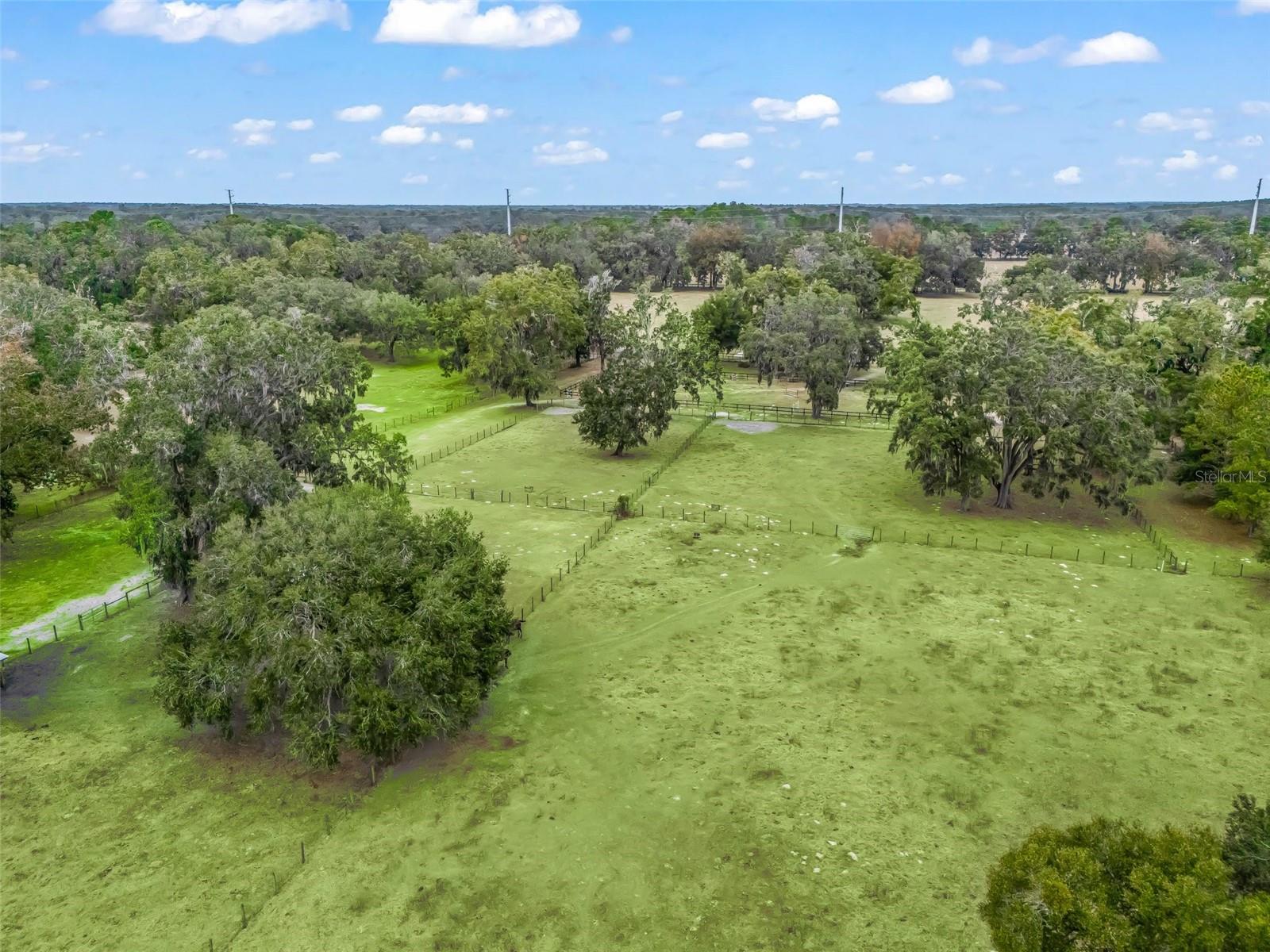 17550 NE 55TH ST, WILLISTON, FL, 32696