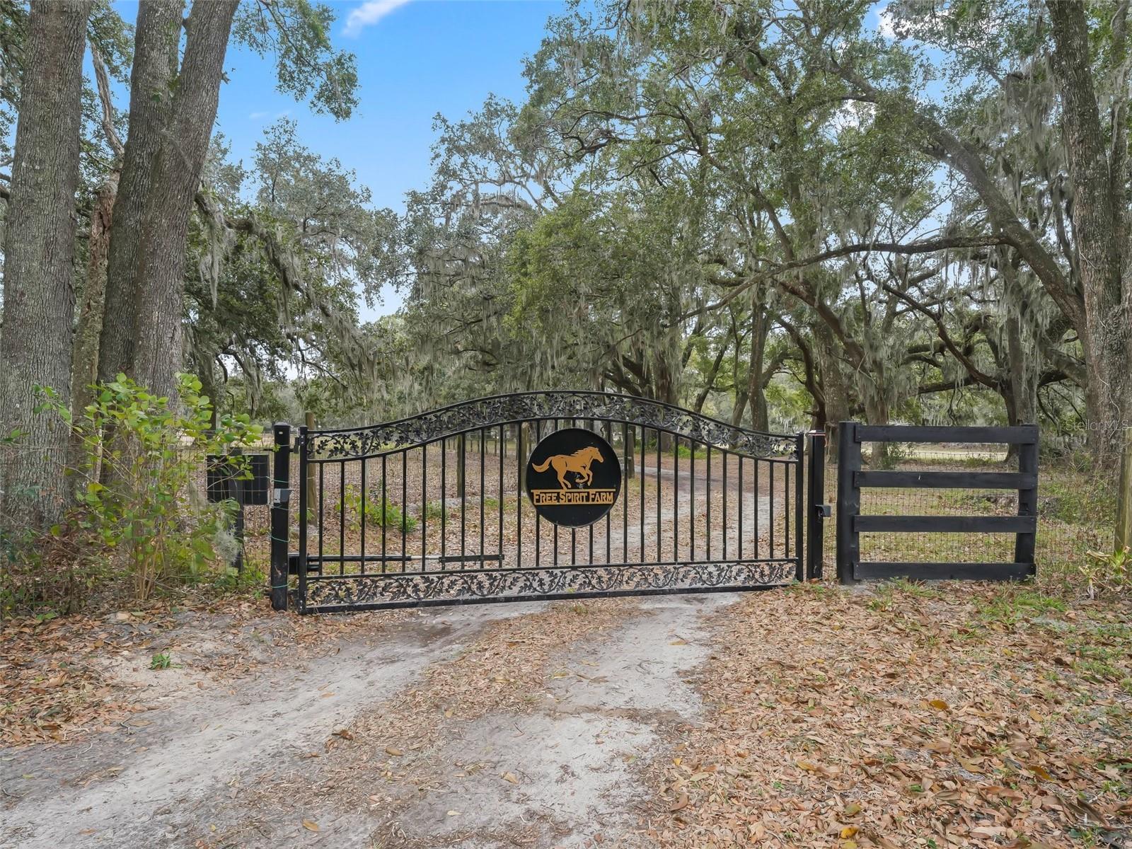 17550 NE 55TH ST, WILLISTON, FL, 32696