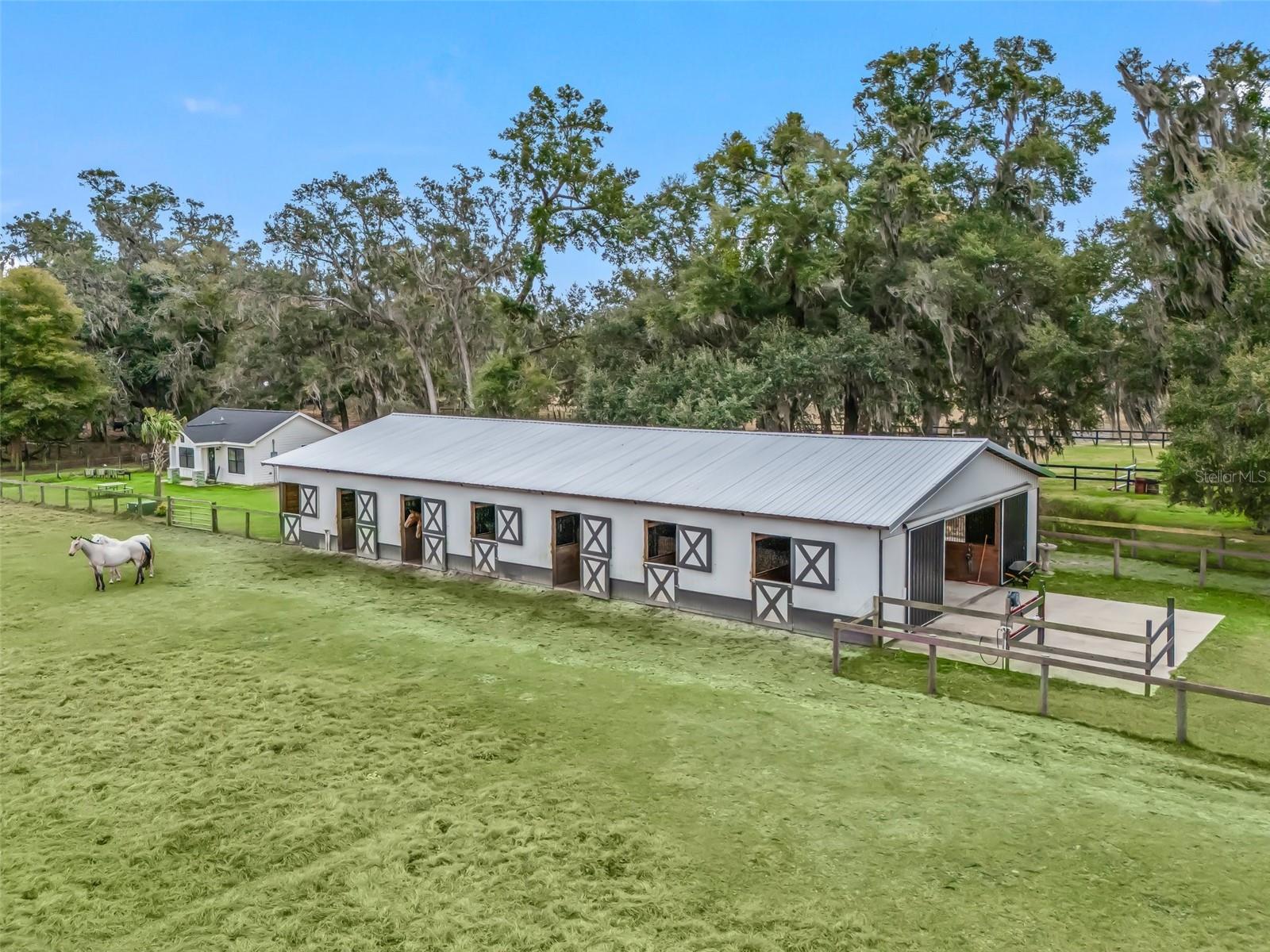 17550 NE 55TH ST, WILLISTON, FL, 32696