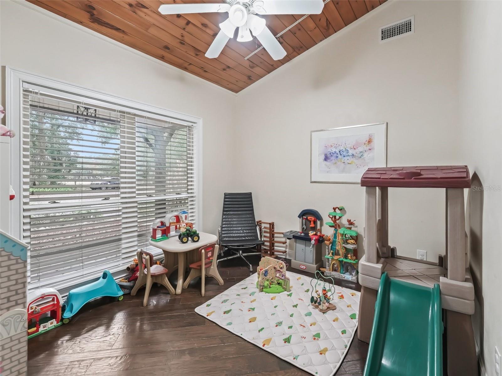 17550 NE 55TH ST, WILLISTON, FL, 32696