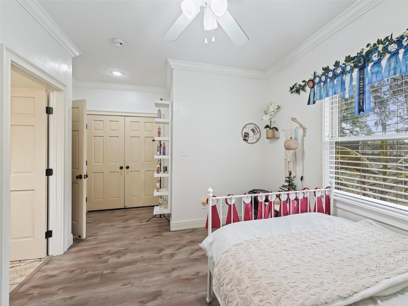 17550 NE 55TH ST, WILLISTON, FL, 32696