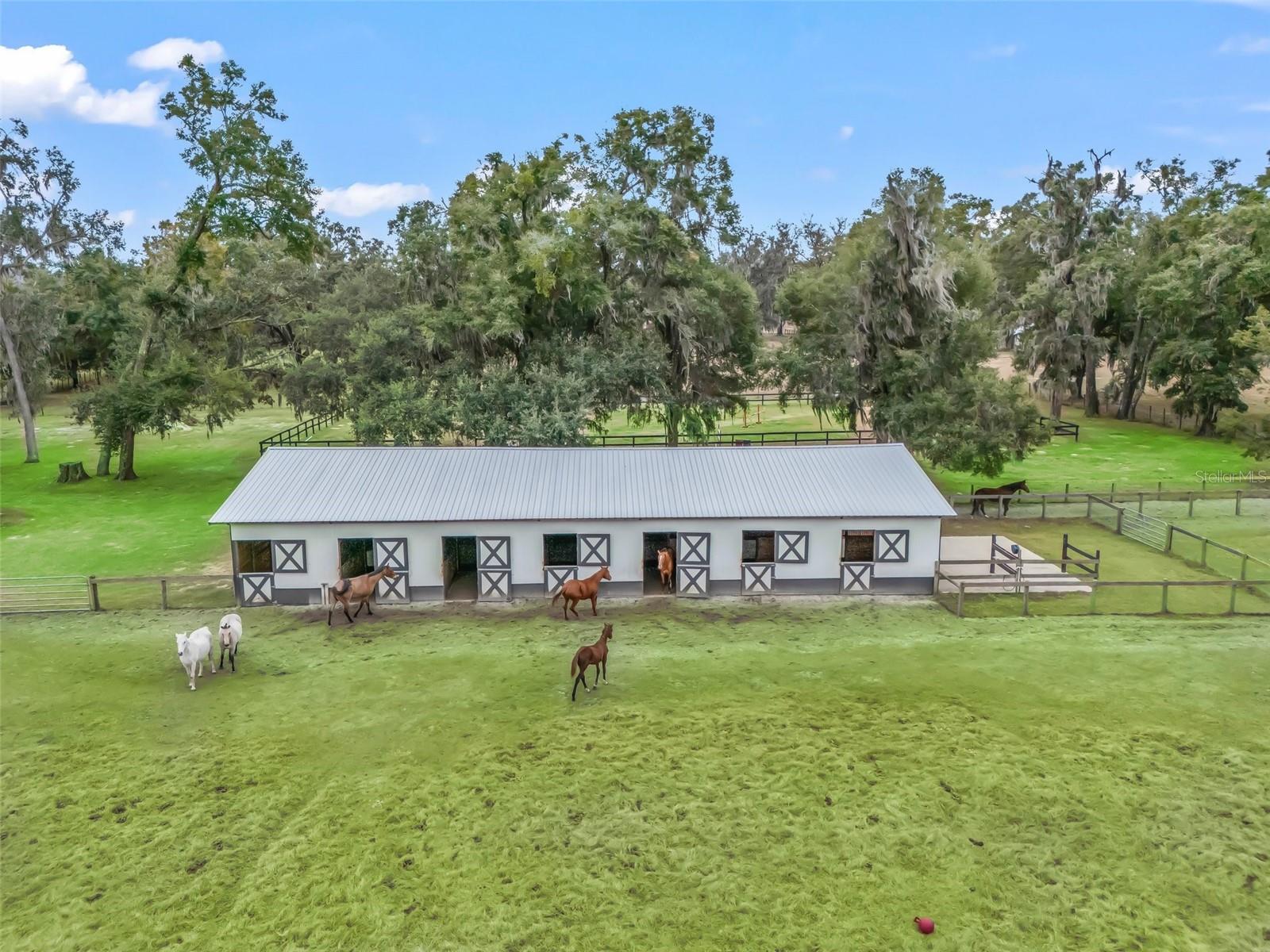 17550 NE 55TH ST, WILLISTON, FL, 32696
