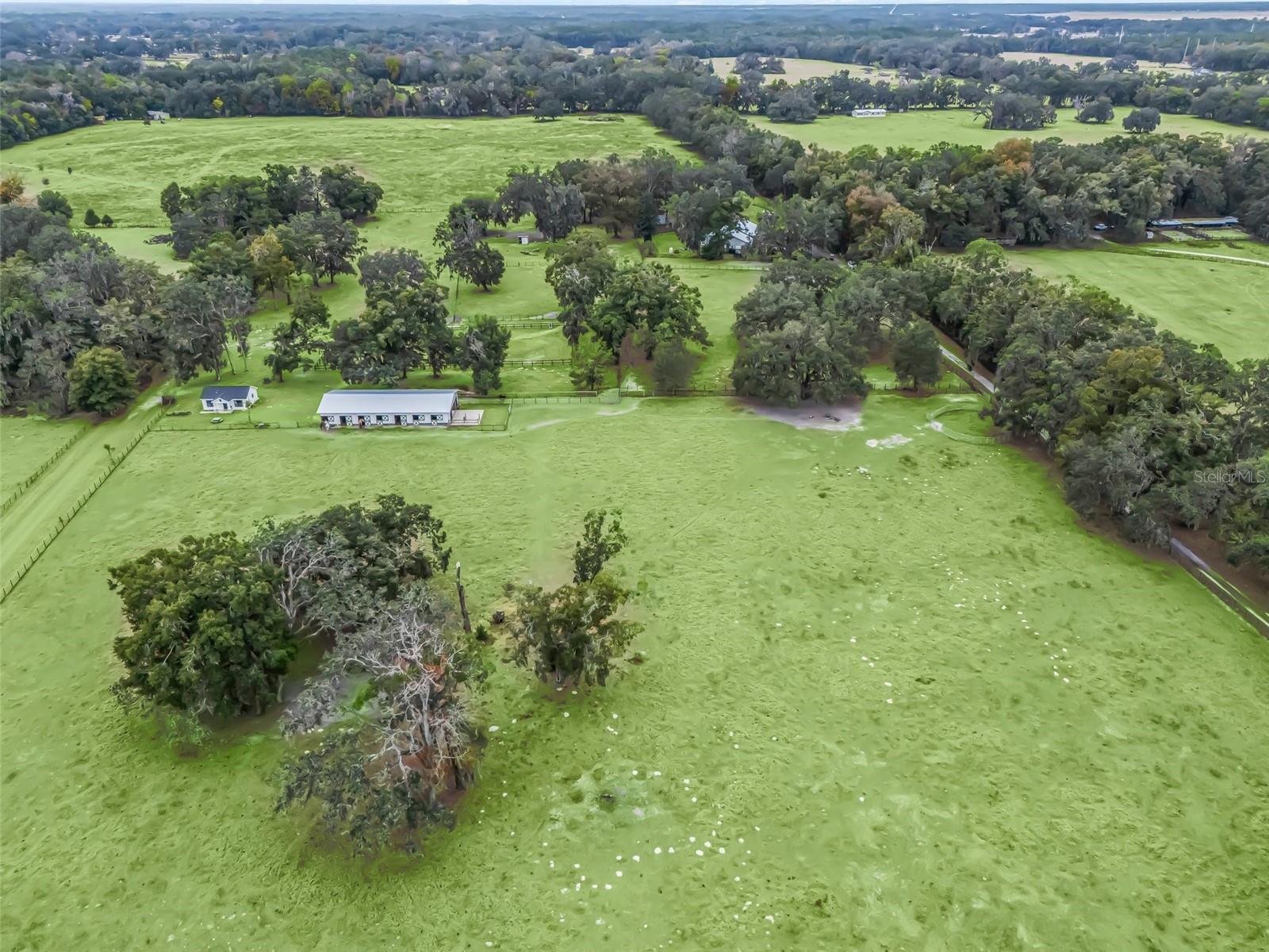 17550 NE 55TH ST, WILLISTON, FL, 32696
