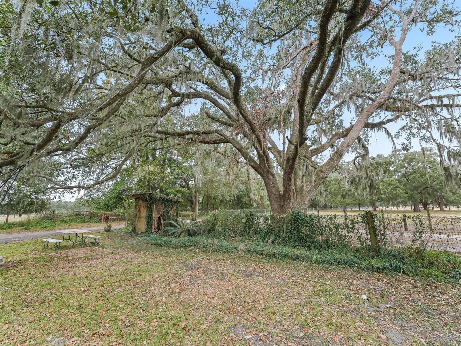 17550 NE 55TH ST, WILLISTON, FL, 32696