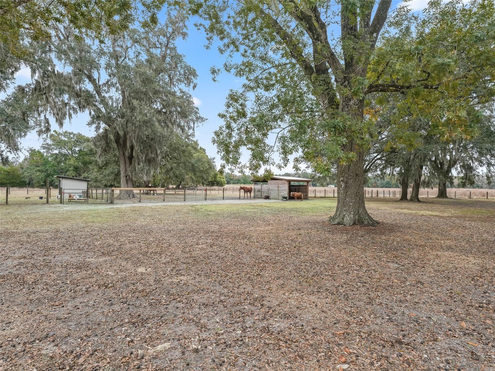 17550 NE 55TH ST, WILLISTON, FL, 32696