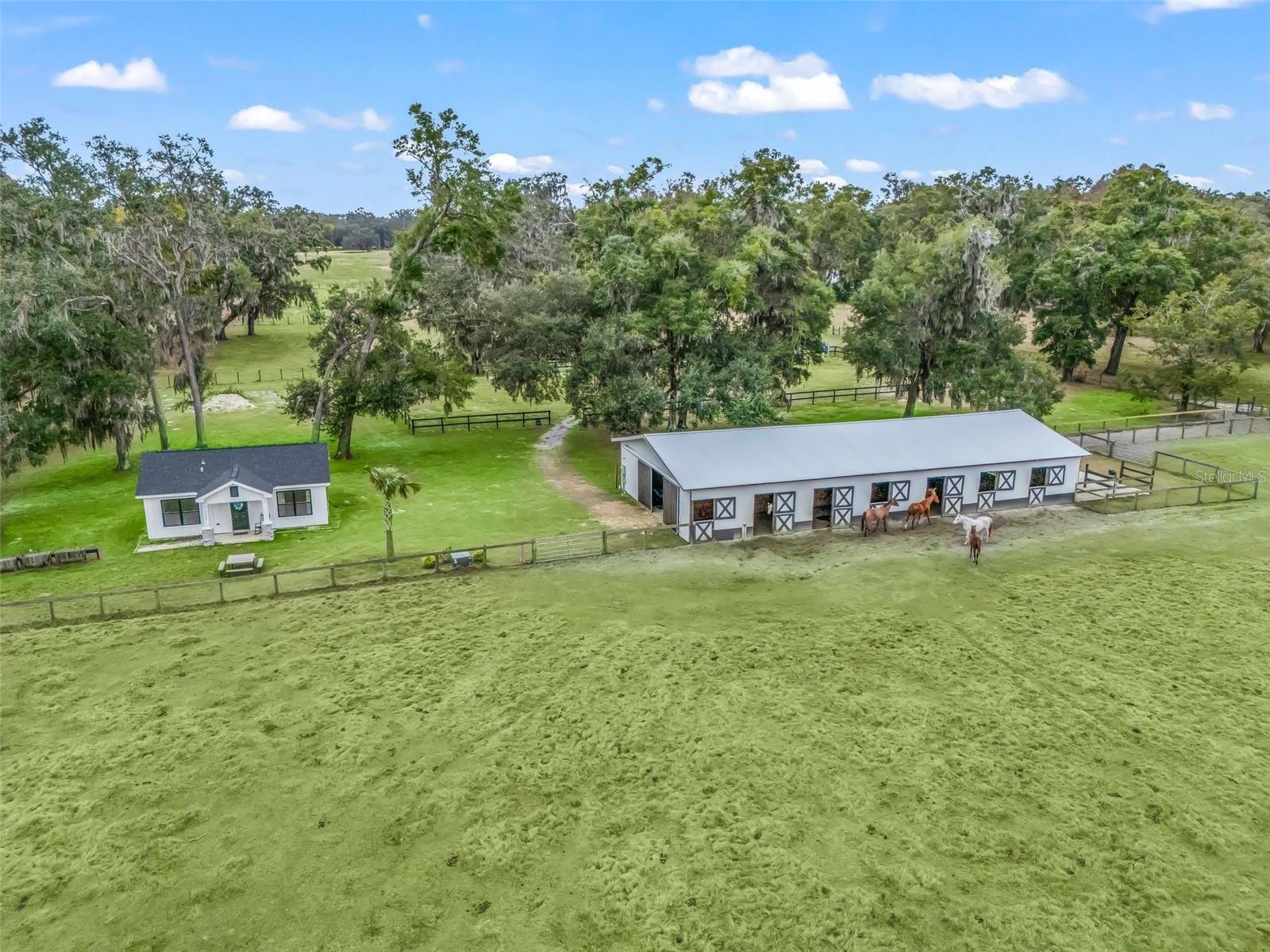 17550 NE 55TH ST, WILLISTON, FL, 32696