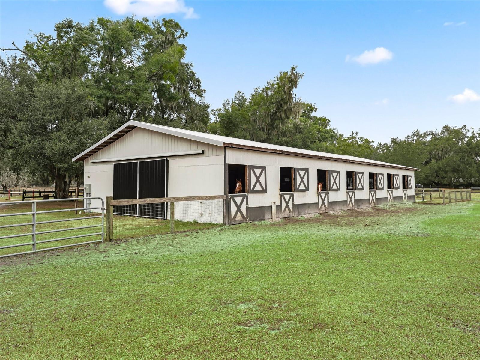 17550 NE 55TH ST, WILLISTON, FL, 32696