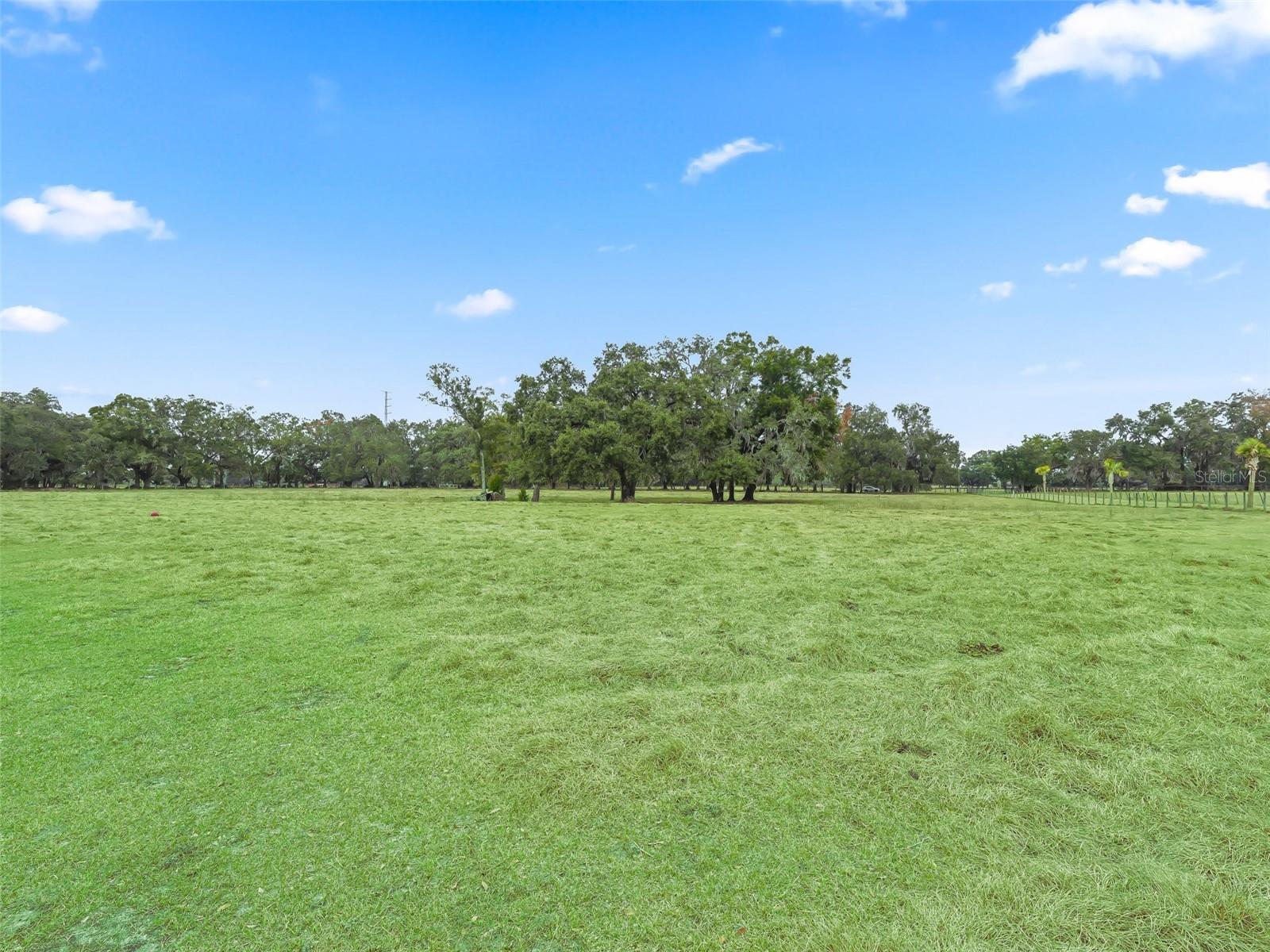 17550 NE 55TH ST, WILLISTON, FL, 32696