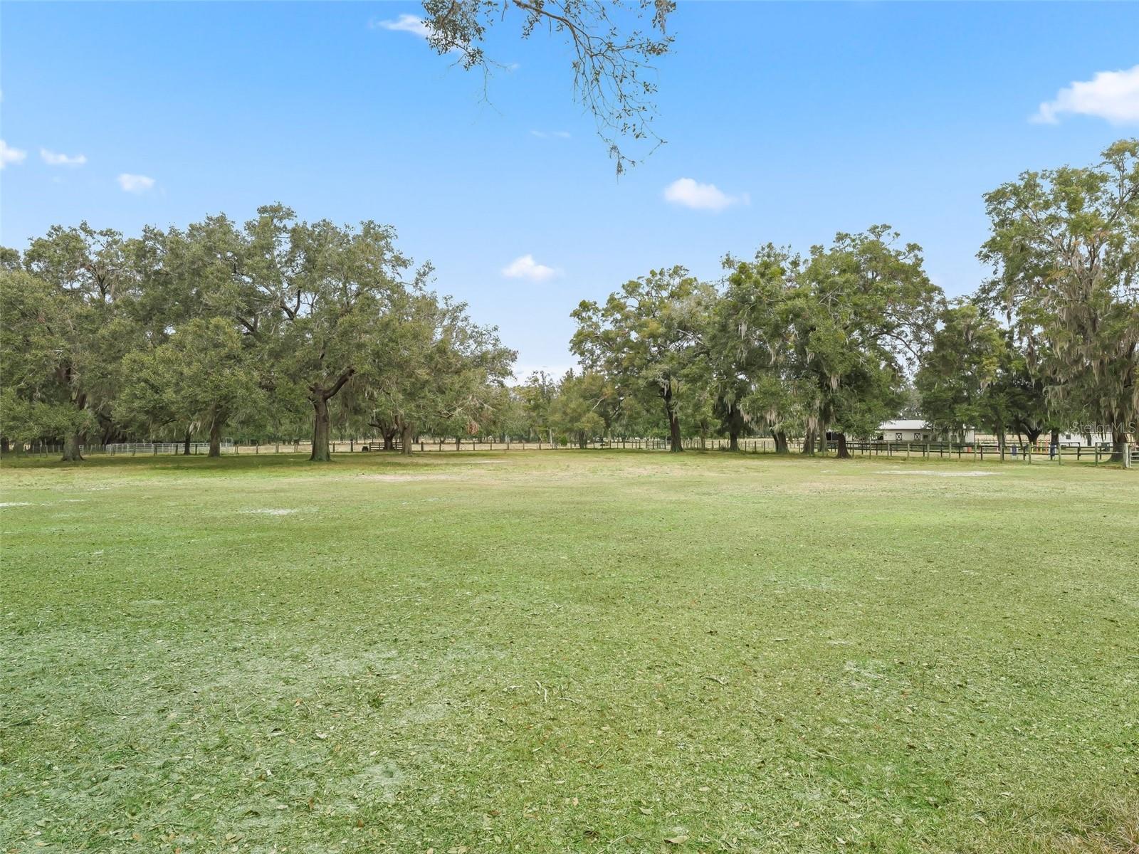 17550 NE 55TH ST, WILLISTON, FL, 32696
