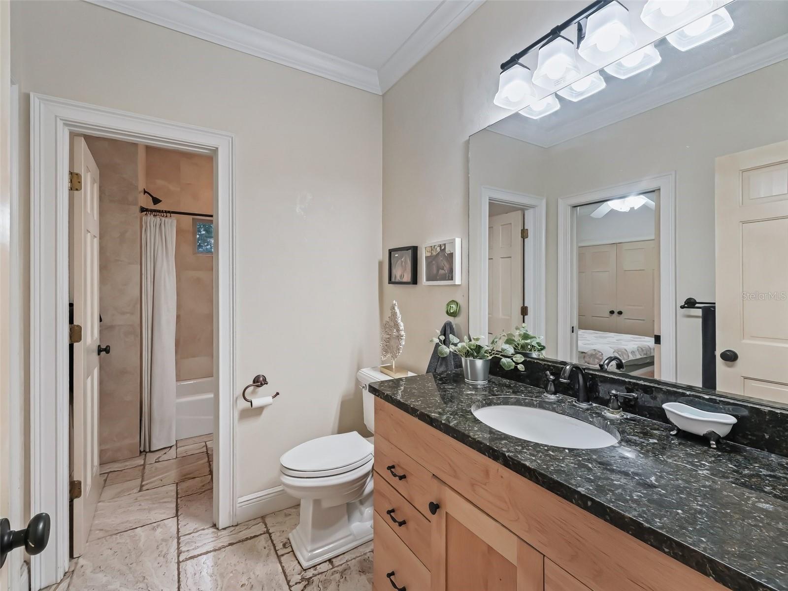 17550 NE 55TH ST, WILLISTON, FL, 32696
