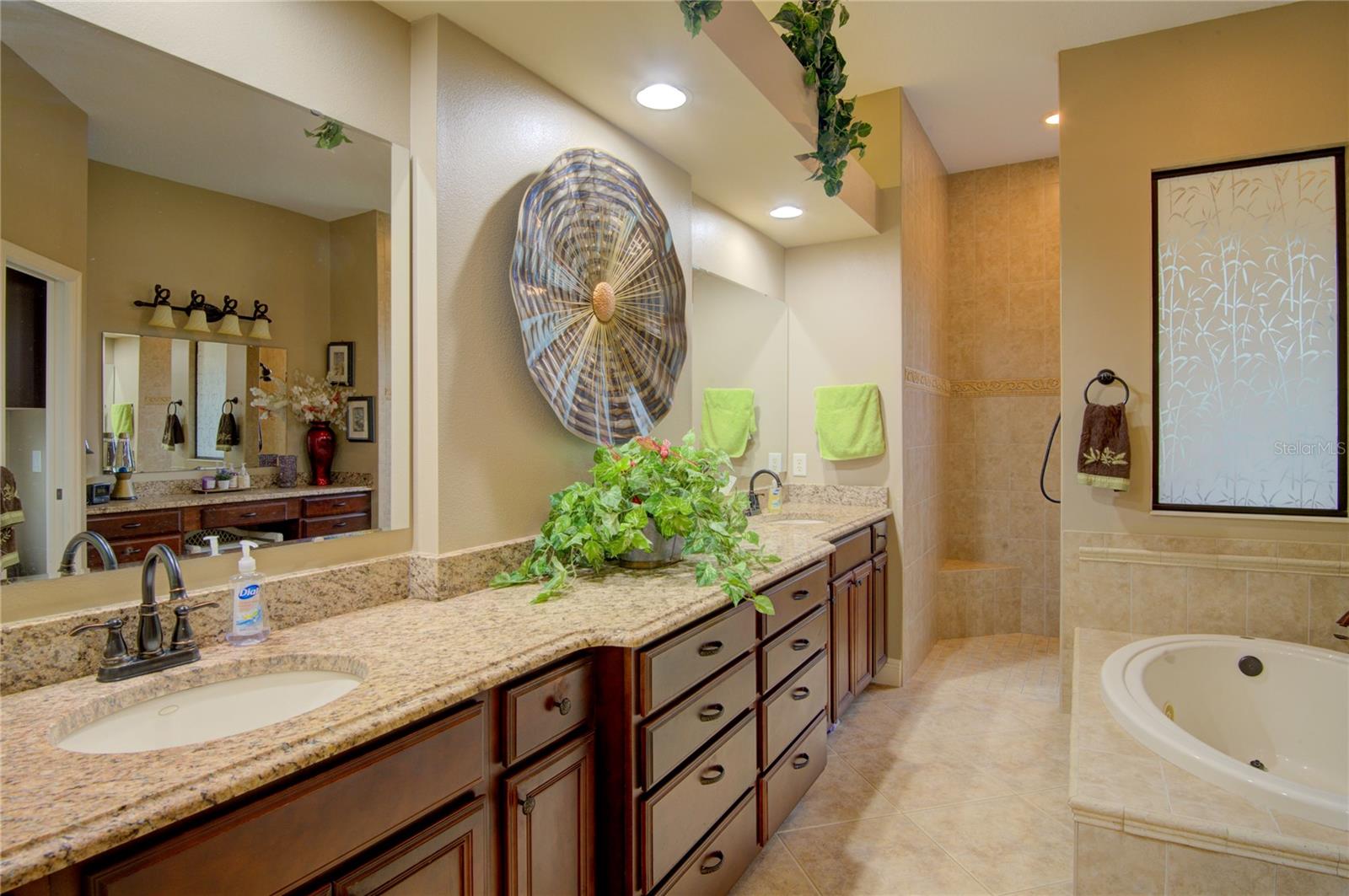 3706 162ND AVE E, PARRISH, FL, 34219