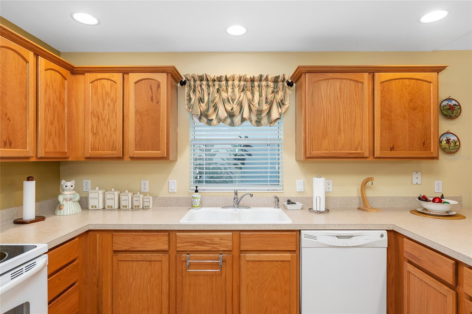 972 BUSTER PL, THE VILLAGES, FL, 32162