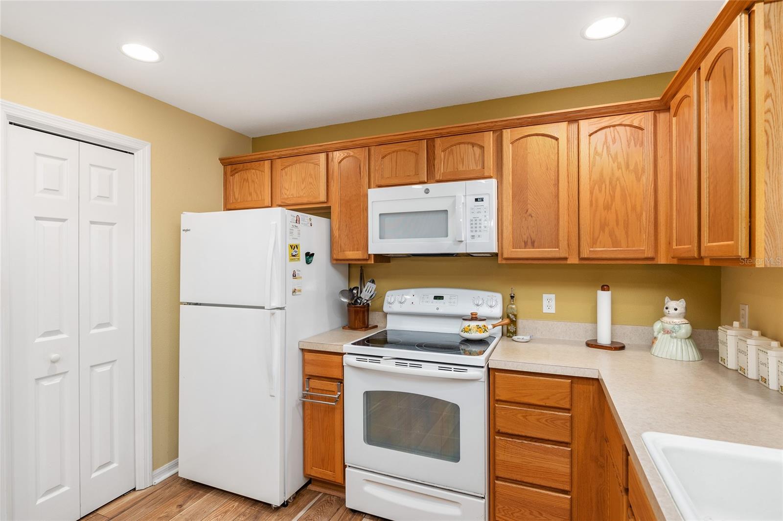 972 BUSTER PL, THE VILLAGES, FL, 32162