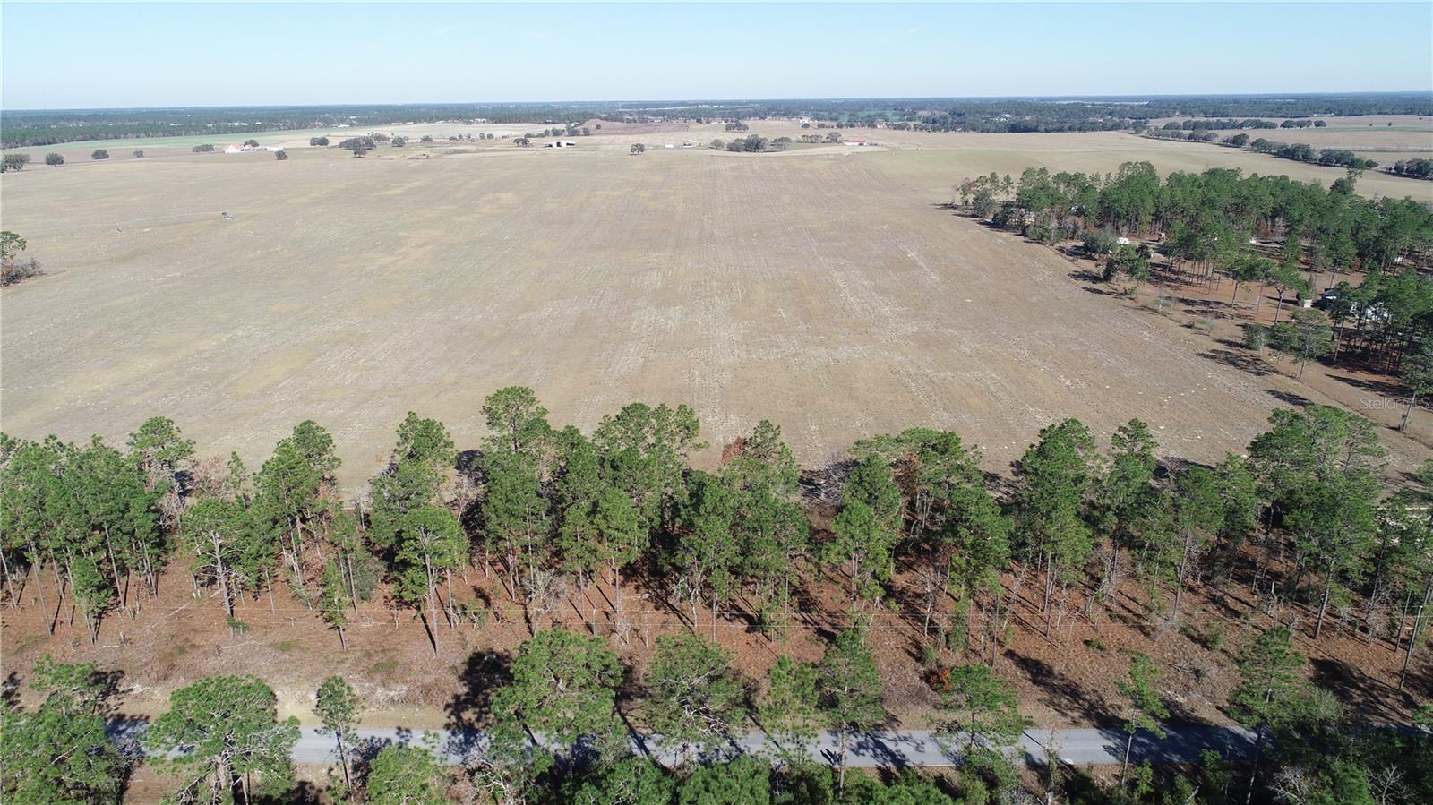 Lot 13 NE FALCON AVE, DUNNELLON, FL, 34431