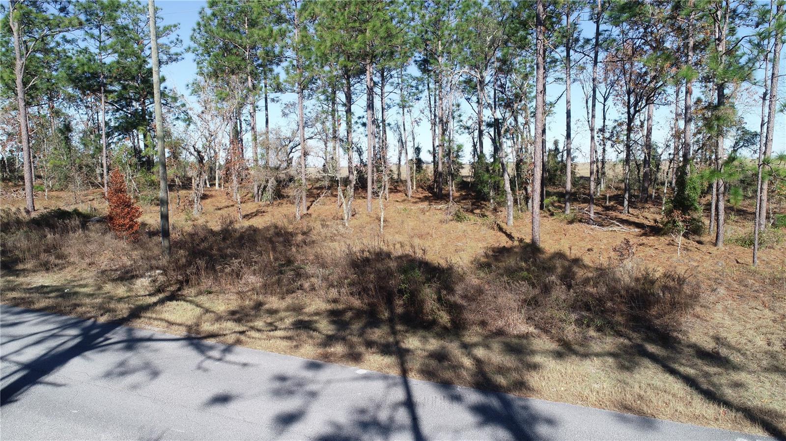 Lot 13 NE FALCON AVE, DUNNELLON, FL, 34431